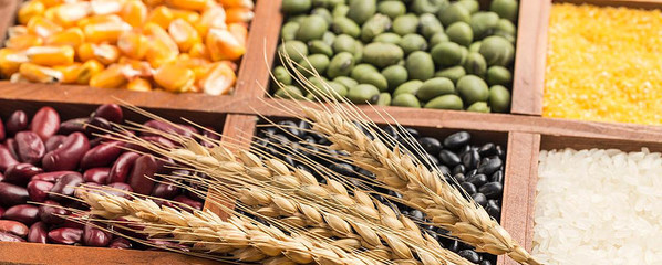 境外農(nóng)產(chǎn)品大宗擇時(shí)(21.11.22)