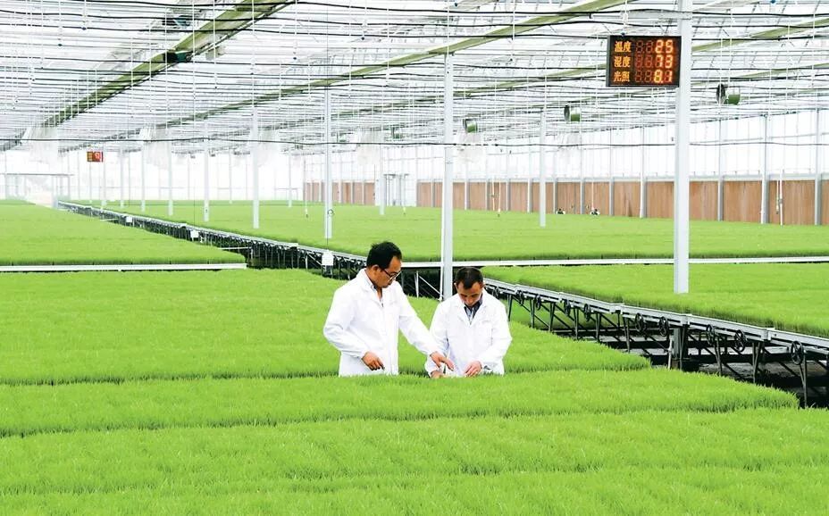 長三角農(nóng)業(yè)聯(lián)盟在滬成立，安徽任首輪“主持人”，共繪現(xiàn)代農(nóng)業(yè)新篇章